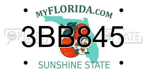 3BB845 Florida License Plate