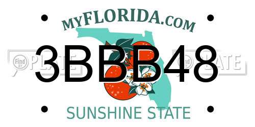 3BBB48 Florida License Plate