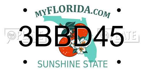 3BBD45 Florida License Plate