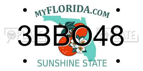 3BBO48 Florida License Plate