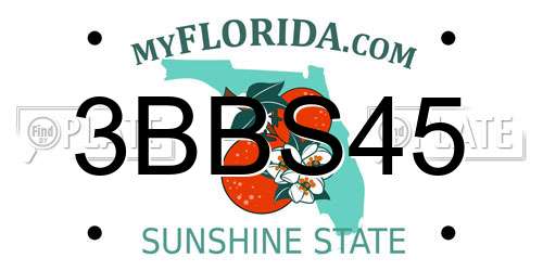 3BBS45 Florida License Plate