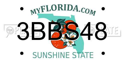 3BBS48 Florida License Plate