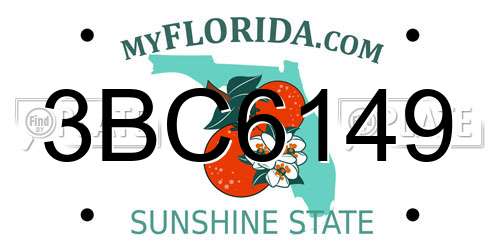 3BC6149 Florida License Plate