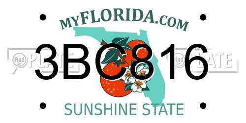 3BC816 Florida License Plate