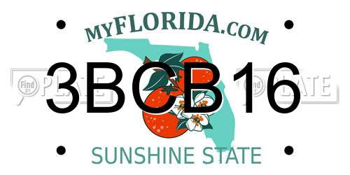 3BCB16 Florida License Plate