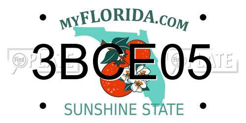 3BCE05 Florida License Plate