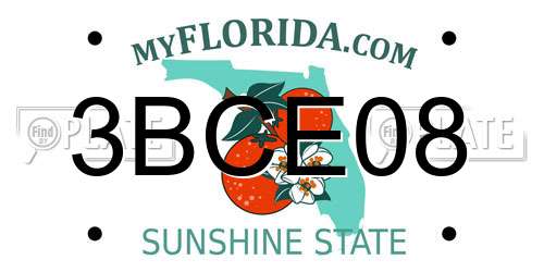 3BCE08 Florida License Plate