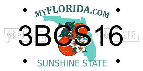 3BCS16 Florida License Plate
