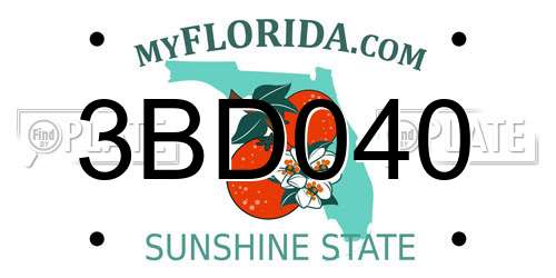 3BD040 Florida License Plate