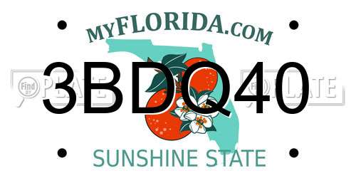 3BDQ40 Florida License Plate
