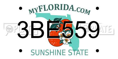 3BE559 Florida License Plate