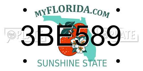 3BE589 Florida License Plate