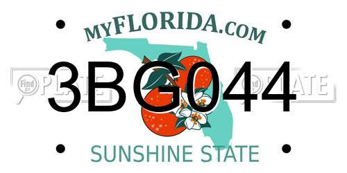 3BG044 Florida License Plate