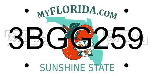 3BGG259 Florida License Plate