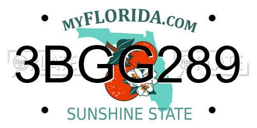 3BGG289 Florida License Plate