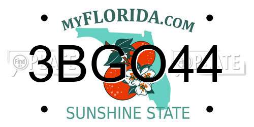 3BGO44 Florida License Plate