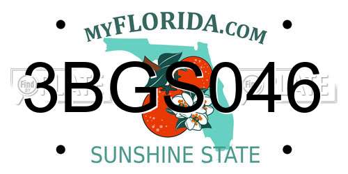3BGS046 Florida License Plate