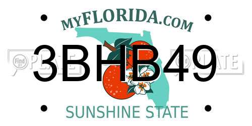 3BHB49 Florida License Plate