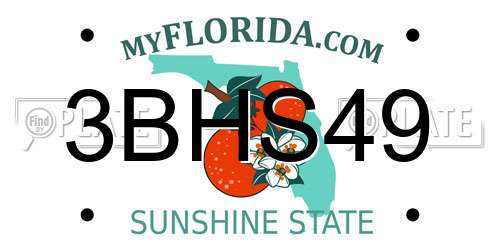 3BHS49 Florida License Plate