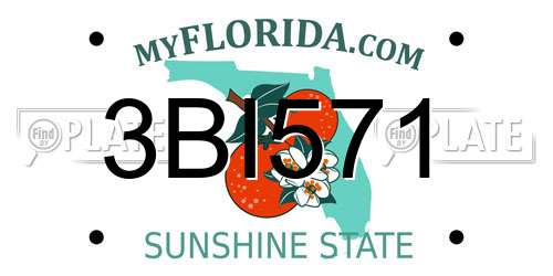 3BI571 Florida License Plate