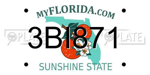 3BI871 Florida License Plate
