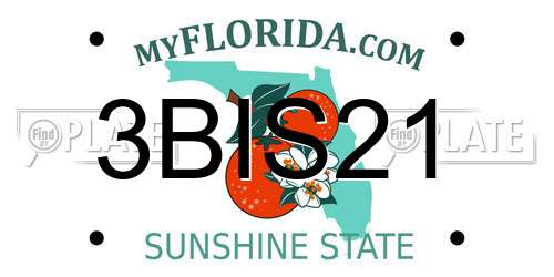 3BIS21 Florida License Plate