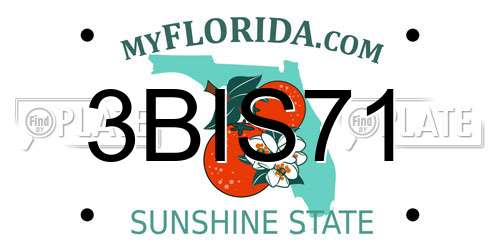 3BIS71 Florida License Plate