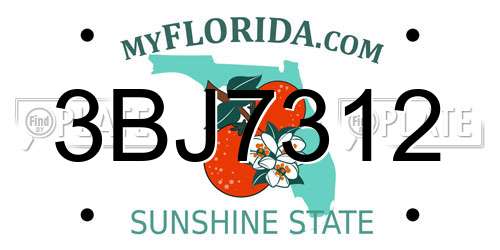 3BJ7312 Florida License Plate