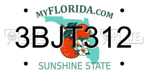 3BJT312 Florida License Plate
