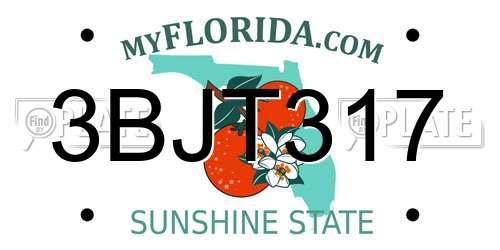3BJT317 Florida License Plate