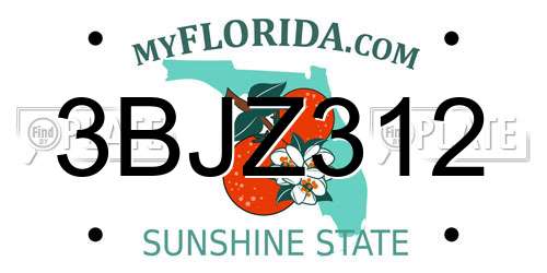 3BJZ312 Florida License Plate