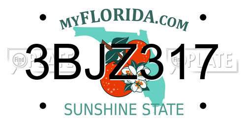 3BJZ317 Florida License Plate