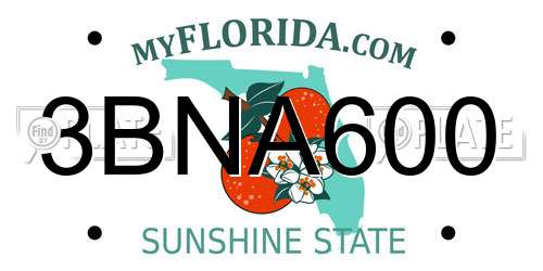 3BNA600 Florida License Plate