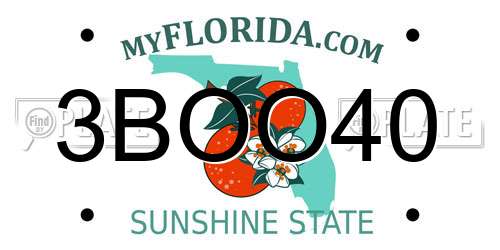 3BOO40 Florida License Plate