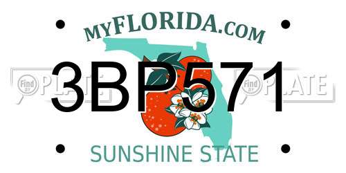 3BP571 Florida License Plate