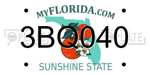 3BQ040 Florida License Plate