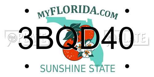 3BQD40 Florida License Plate
