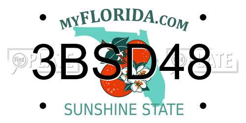 3BSD48 Florida License Plate