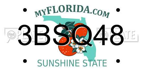 3BSQ48 Florida License Plate