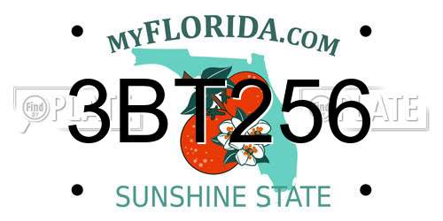 3BT256 Florida License Plate