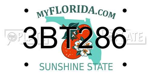 3BT286 Florida License Plate