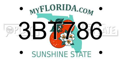 3BT786 Florida License Plate