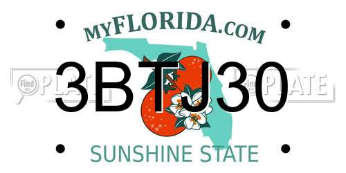 3BTJ30 Florida License Plate