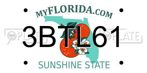 3BTL61 Florida License Plate