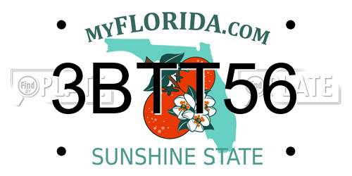 3BTT56 Florida License Plate
