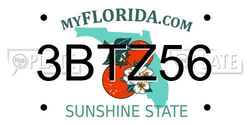 3BTZ56 Florida License Plate
