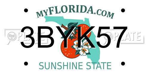 3BYK57 Florida License Plate