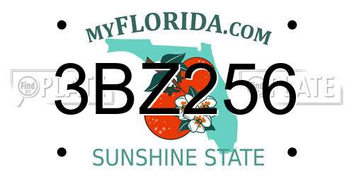 3BZ256 Florida License Plate