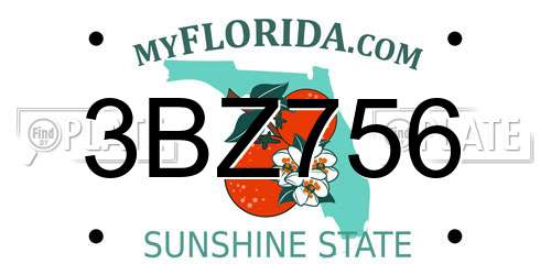 3BZ756 Florida License Plate