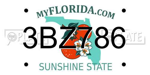 3BZ786 Florida License Plate